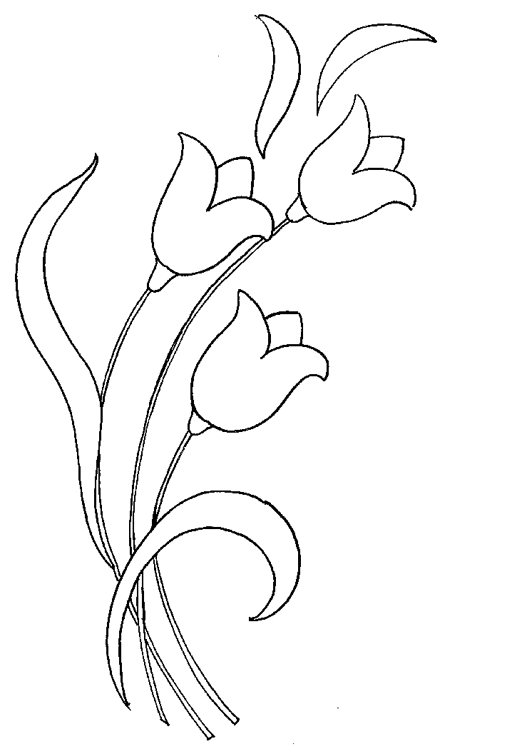 Moldes de Flores e Folhas - Coleção de Moldes, Desenhos e Cores