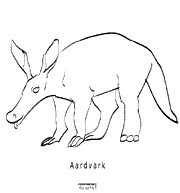 molde-Aardvark-1