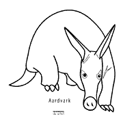 molde-Aardvark-3