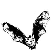 molde-morcego-3