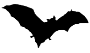molde-morcego-6