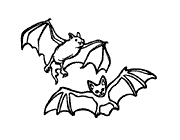 molde-morcego-9