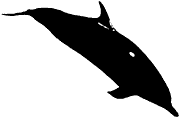 molde-golfinho-1
