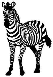 molde-zebra-1