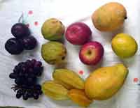 Frutas usadas