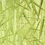 Efeito Bambu